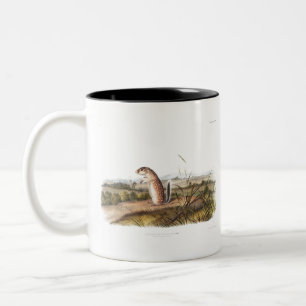 Mexican Marmot Squirrel Camping Deco Gifts Two-Tone Coffee Mug