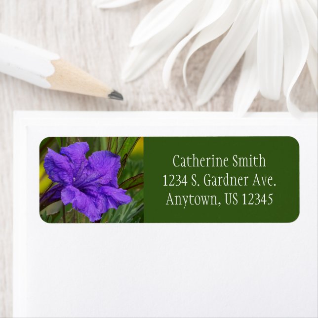 Mexican Petunia Flower / Blue Violet & Green / Label (Insitu)
