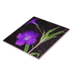 Mexican Petunia Purple Ceramic Tile