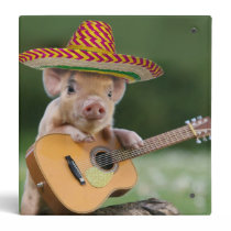 mexican pig - pig guitar - funny pig binder