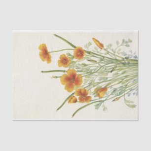 Mexican Poppy by Mary Vaux Walcott Tissue Paper