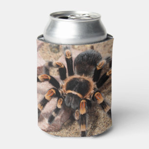 Mexican Red knee Tarantula Can Cooler