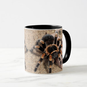 Mexican Red knee Tarantula Mug