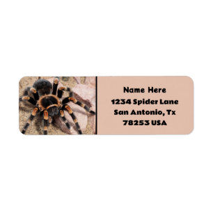 Mexican Red knee Tarantula Return Address Label