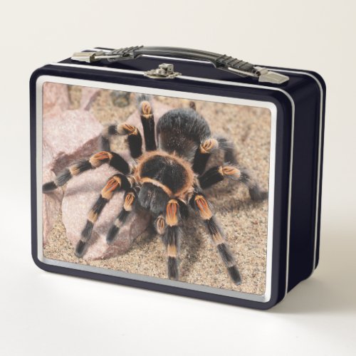 Mexican Red Knee Tarantula Spider Metal Lunch Box