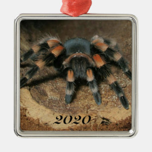 Mexican Red Knee Tarantula Spider Metal Ornament