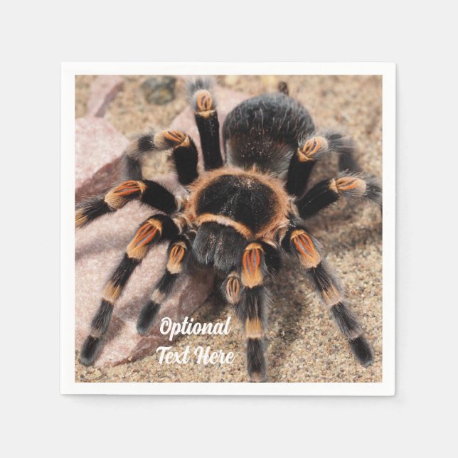 Mexican Red Knee Tarantula Spider Napkins (Front)