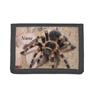 Mexican Red Knee Tarantula Spider Tri-fold Wallet
