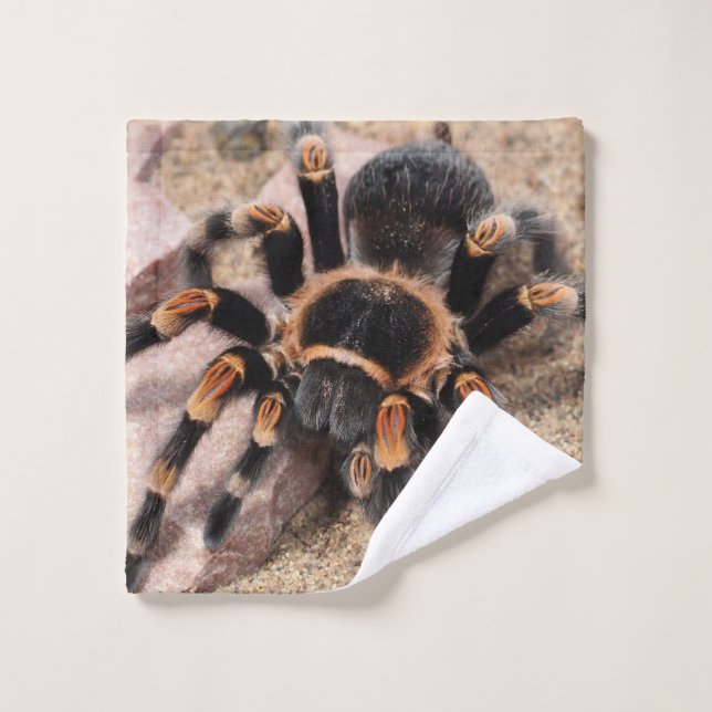 Mexican Red Knee Tarantula Spider Wash Cloth (Wash Cloth)
