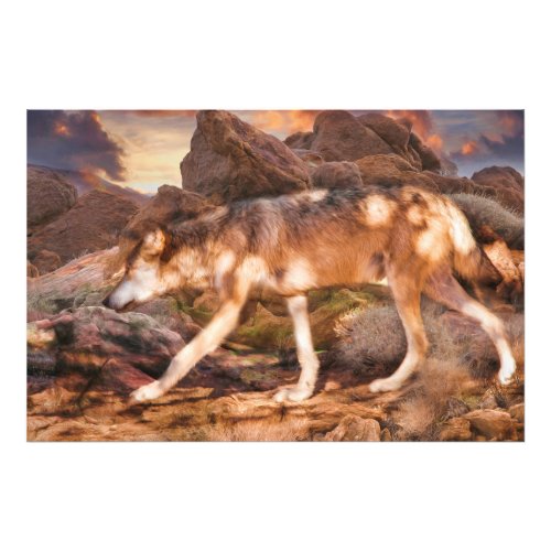 MEXICAN RED WOLF DESERT TREK PHOTO PRINT