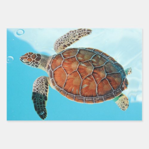 Mexican Sea Turtle and Beautiful Blue Ocean  Wrapping Paper Sheets