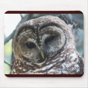 Mexican Spotted Owl Mousepad