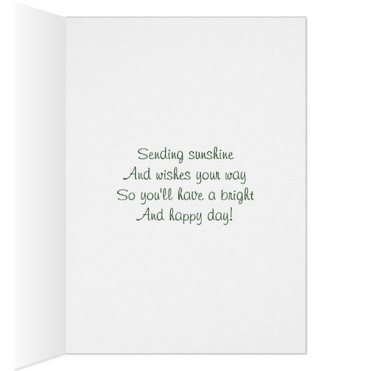 Mexican Teddy Bear In Sombrero (Inside (Right))