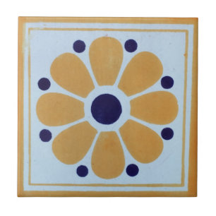 Mexican Tiles Hand Painted Backsplash 8
