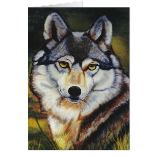 "Mexican Wolf" (Front)