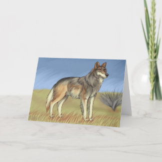 Mexican Wolf Card