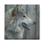 Mexican Wolf Magnet