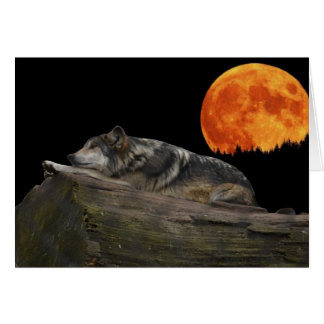 Mexican Wolf & Moon Cards