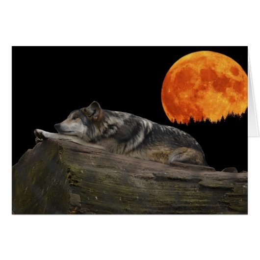 Mexican Wolf & Moon Cards (Front Horizontal)