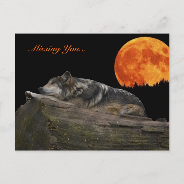 Mexican Wolf & Moon - Missing You... Postcard (Front)