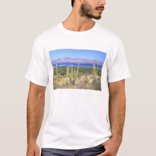 Mexico, Baja California Sur, Cardon Cactus at T-Shirt
