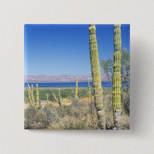 Mexico, Baja California Sur, Mulege, Bahia Button