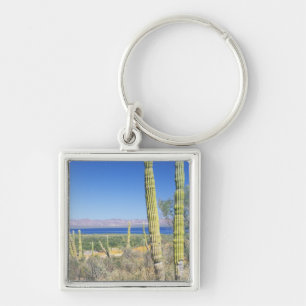 Mexico, Baja California Sur, Mulege, Bahia Keychain