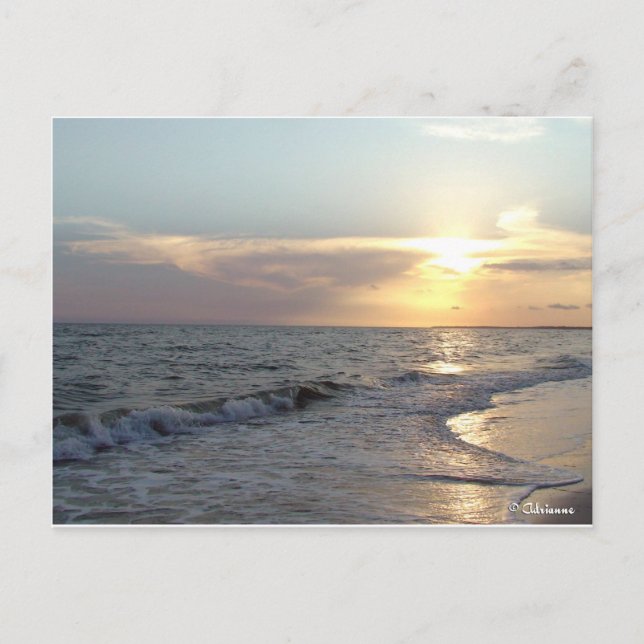 Mexico Beach, Florida Postcard (Front)