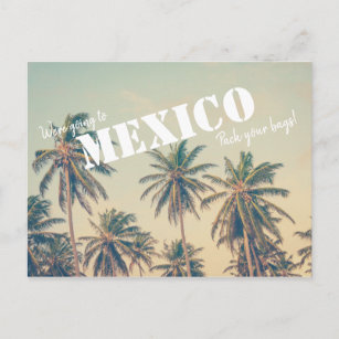 Mexico Beach Palm Tree Save the Dates Postcard