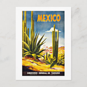 Mexico Cactus Vintage Travel Postcard