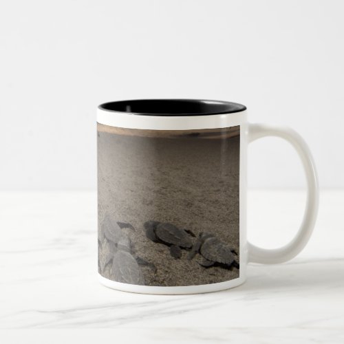 Mexico Chiapas Boca del Cielo Turtle Research Two_Tone Coffee Mug