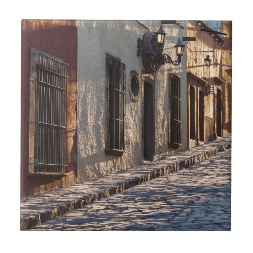 Mexico Cobblestone Street Ceramic Tile