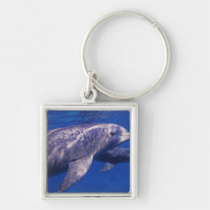 Mexico, Cozumel. Bottlenosed Dolphin, Tursiops 2 Keychain