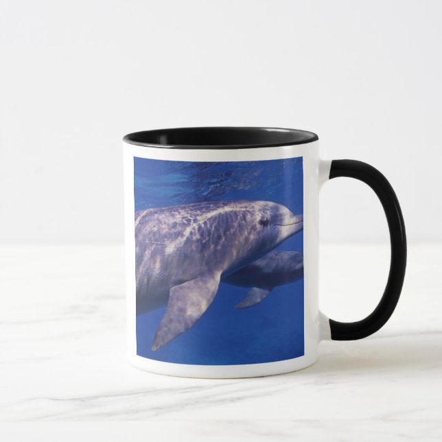 Mexico, Cozumel. Bottlenosed Dolphin, Tursiops 2 Mug (Right)