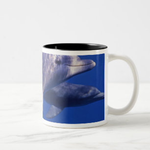 Mexico, Cozumel. Bottlenosed Dolphin, Tursiops 2 Two-Tone Coffee Mug