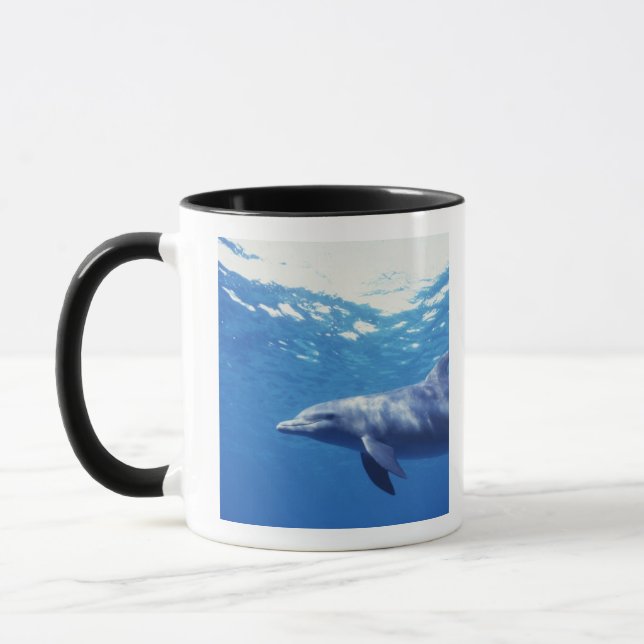 Mexico, Cozumel. Bottlenosed Dolphin, Tursiops 3 Mug (Left)