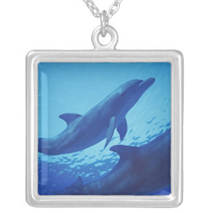 Mexico, Cozumel. Bottlenosed Dolphin, Tursiops Silver Plated Necklace