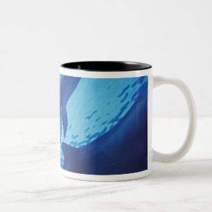 Mexico, Cozumel. Bottlenosed Dolphin, Tursiops Two-Tone Coffee Mug