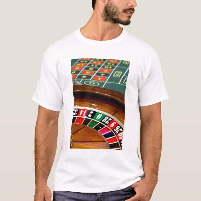 Mexico cruise. Princess Cruises Dawn Princess 2 T-Shirt (Front)