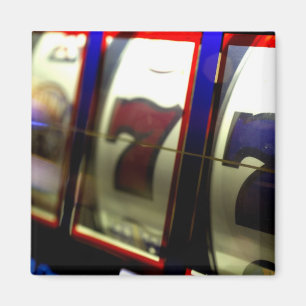 Mexico cruise. Princess Cruises Dawn Princess 3 Magnet