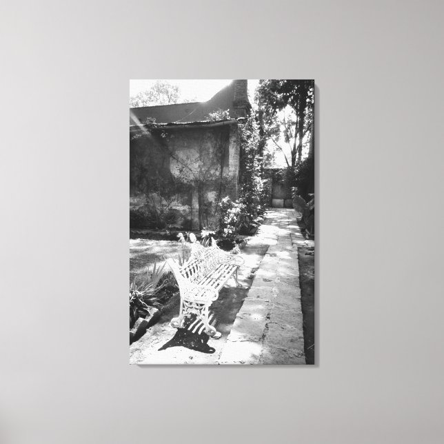 MEXICO, D.F., Mexico City, COYOACAN: Bench at Canvas Print (Front)