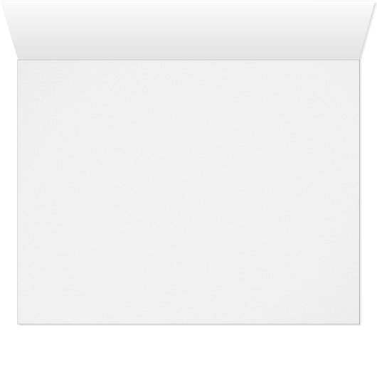 Mexico Flag, Bandera de Mexican Republic (Inside Horizontal (Bottom))