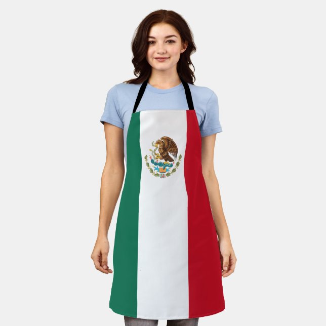 Mexico Flag, Bandera de Mexican Republic Apron (Worn)