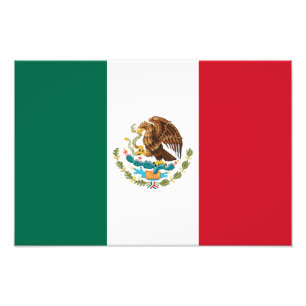 Mexico Flag, Bandera de Mexican Republic Photo Print