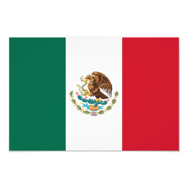 Mexico Flag, Bandera de Mexican Republic Photo Print (Front)