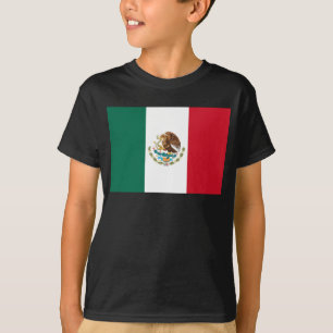 Mexico Flag, Bandera de Mexican Republic T-Shirt