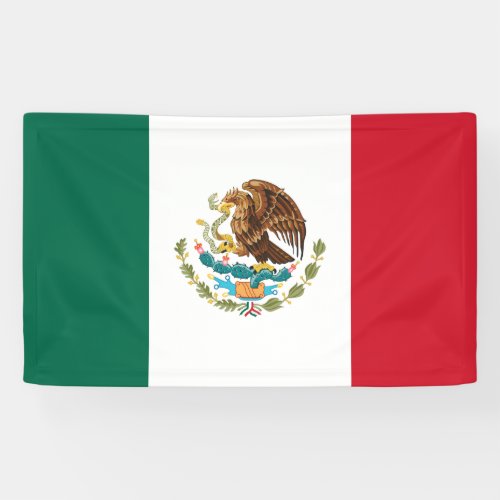 Mexico flag banner
