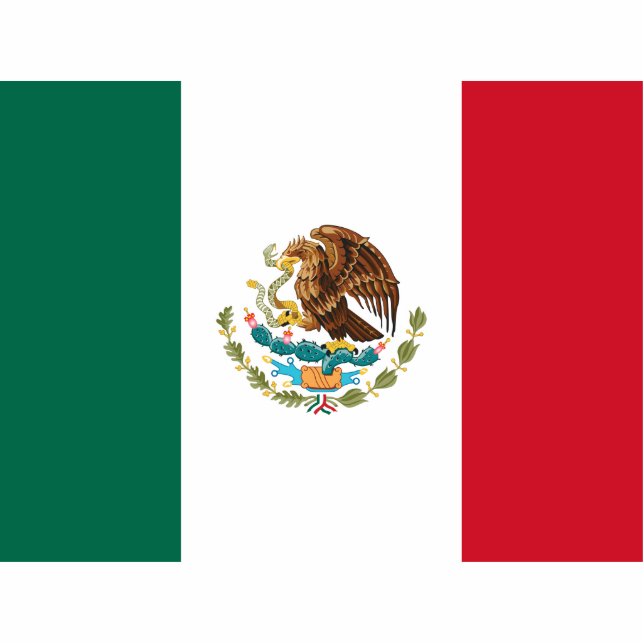 Mexico flag cutout (Front)