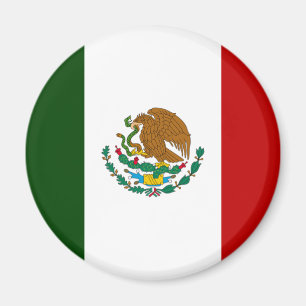 Mexico flag magnet