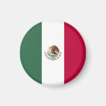 Mexico flag magnet